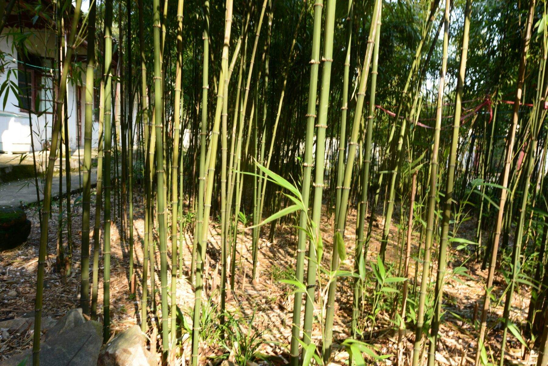 方竹客户端(方竹直聘网)-第1张图片-太平洋在线下载