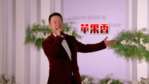 苹果香男声翻唱版小苹果歌曲筷子兄弟原唱下载-第2张图片-太平洋在线下载