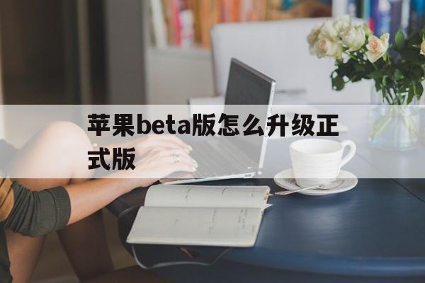 苹果beta版怎么升级正式版(iphone怎么升级beta版)-第2张图片-有道翻译官网