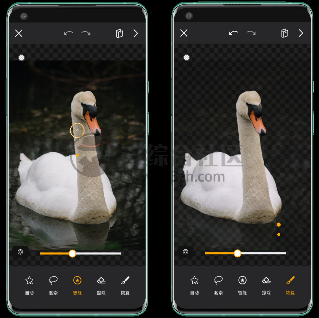 大神P图破解VIP版苹果版(大神p图破解vip版苹果版下载)